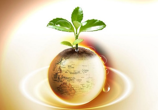 欧元兑美元汇率跌破平价 欧盟企业却高兴不起来了